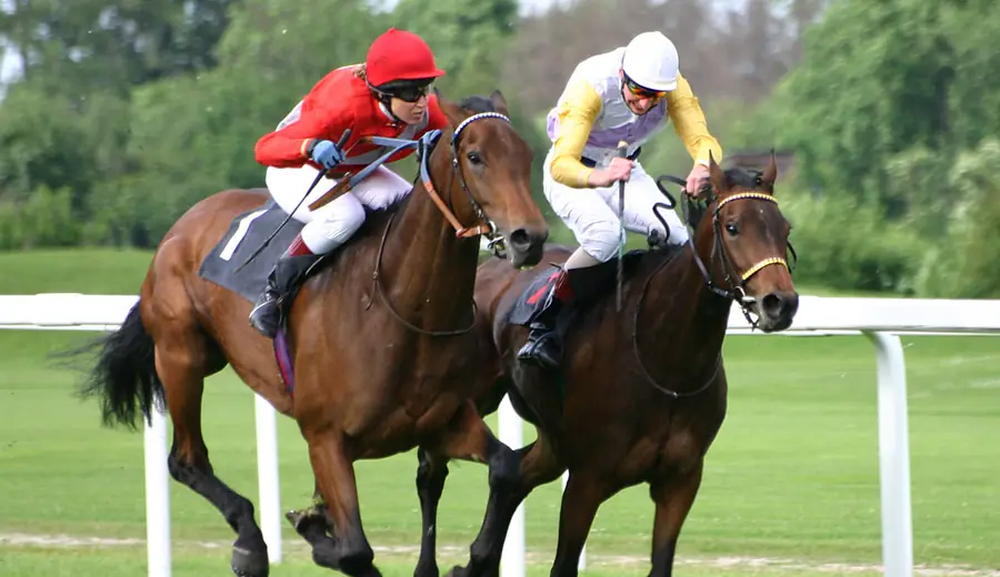 Ascot Gold Cup Wettleitfaden: Das Feature-Rennen des Royal Meeting