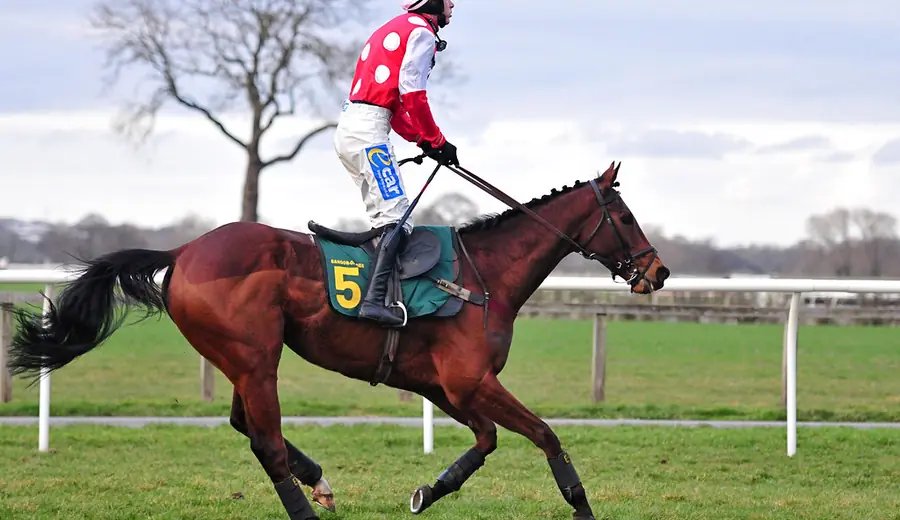 Cheltenham Festival 2026: Experten-Wettguide zum bedeutendsten Hindernisrennen