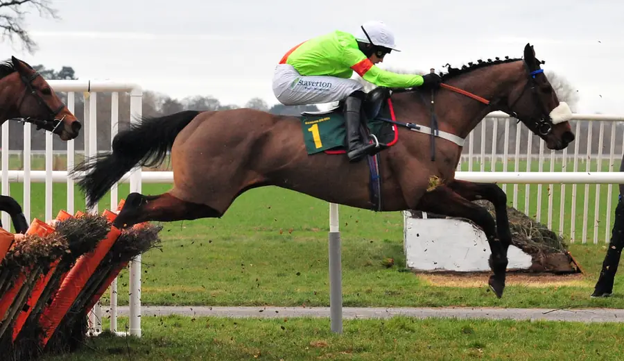 Cheltenham Festival Wetten Guide: So gewinnen Sie beim Festival