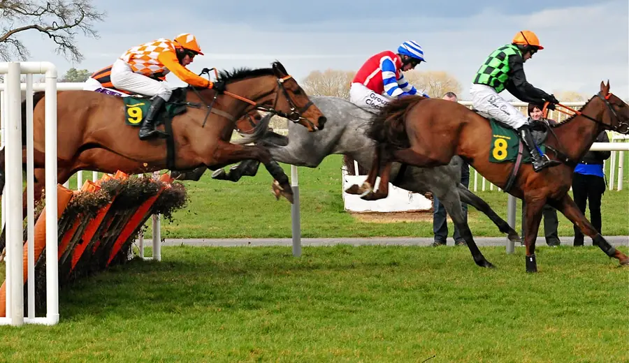 Cheltenham Festival Trends: Datengestützte Wettanalyse