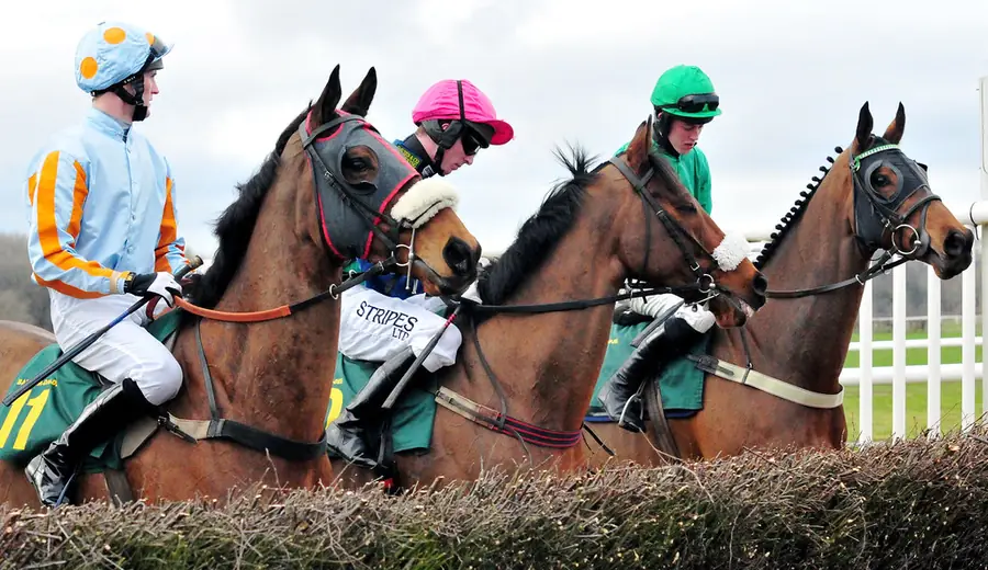 Cheltenham Gold Cup Wetten: So wählen Sie den Sieger