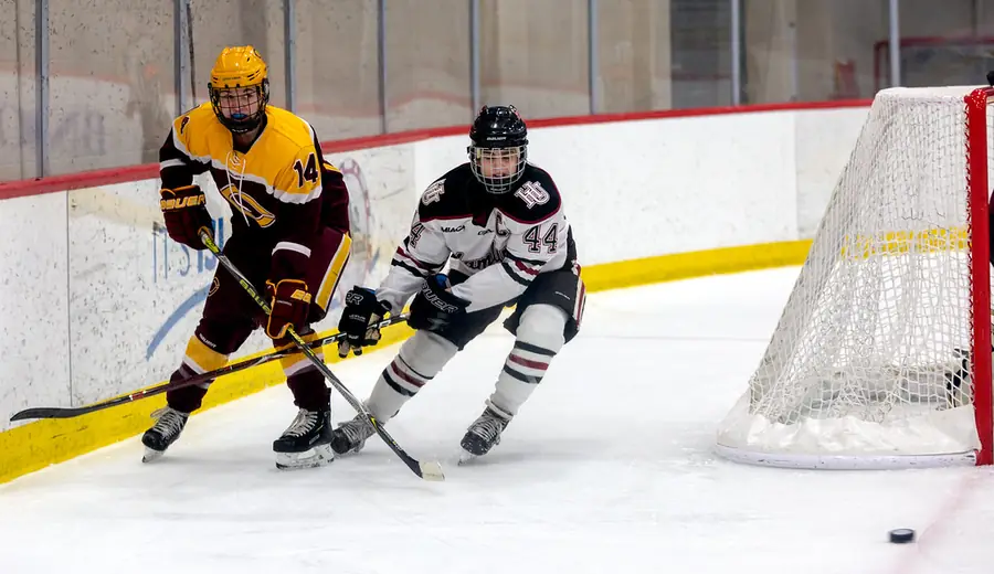 DEL Eishockey Wetten: Deutsche Eishockey Liga Wettguide