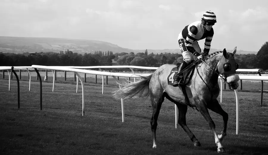 Grand National Feldanalyse: So bewerten Sie die Starter