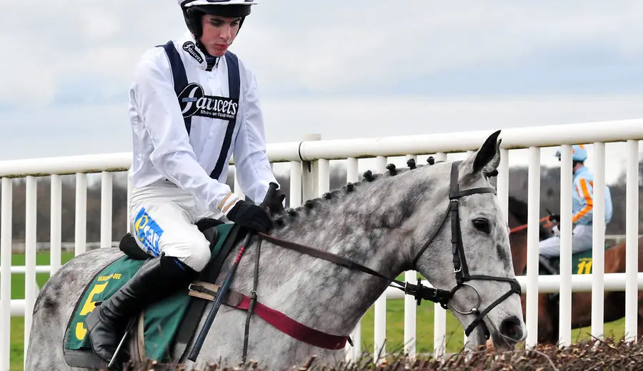 Racing Post nutzen: Kompletter Leitfaden für Pferderennen-Recherche