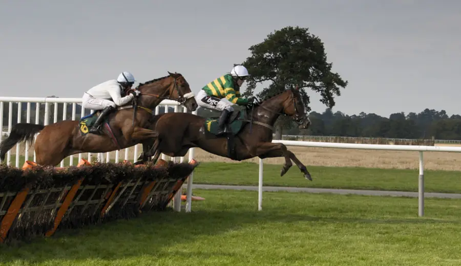 Jockey-Statistiken und Wetten: Wie Sie Jockey-Daten nutzen