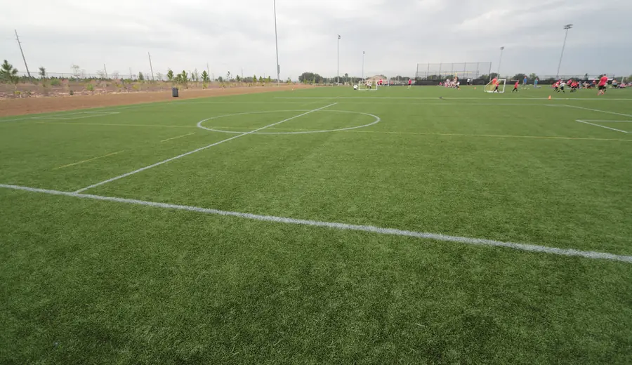 Ligue 1 Wettguide: Wie Sie auf französischen Fußball wetten