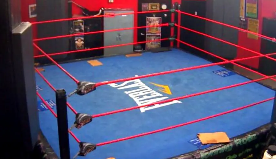 MMA-Wetten: So wetten Sie auf UFC und Kampfsport