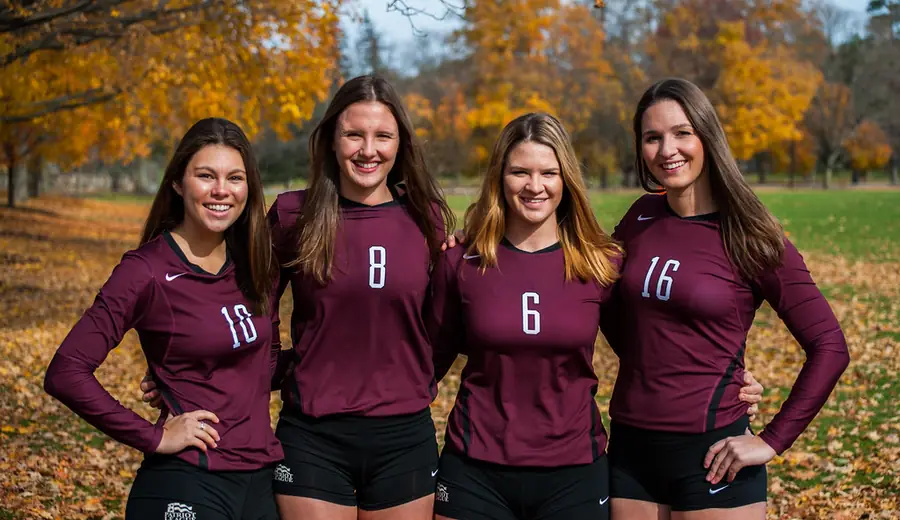 Polnische PlusLiga Volleyball Wettguide