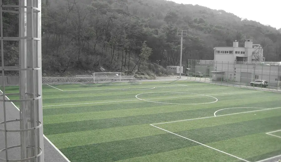 Rumänische Superliga Wettguide: Rumänische Fußballmärkte