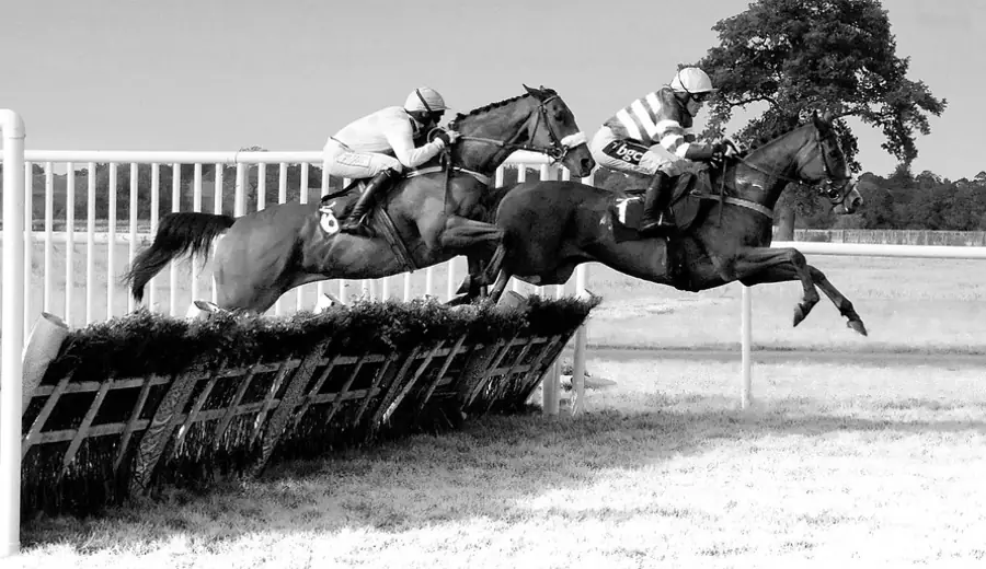 Tote Exacta, Trifecta und Placepot: Guide zu Tote-Pool-Wetten