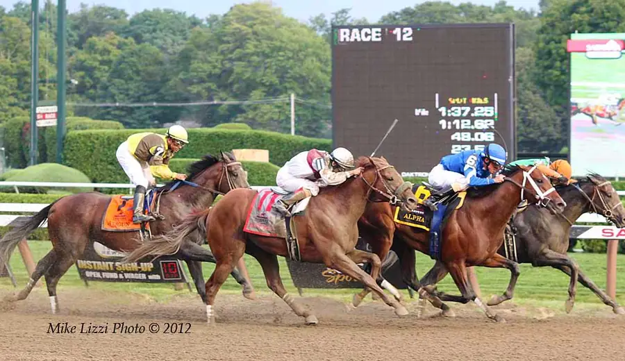 Dead-Heat-Rechner — Kostenloser Pferderennen Dead-Heat-Rechner | Betmana